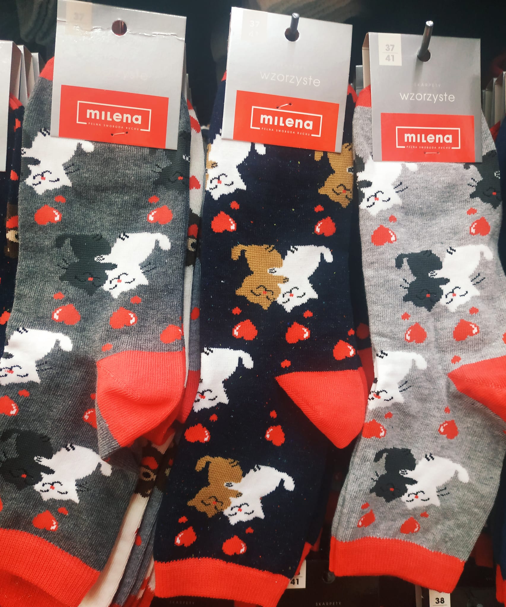 Skarpetki – funkcjonalne i estetyczne