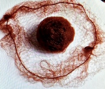 Biżuteria – ozdoba na różne okazje